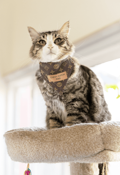 CHEWY VUITON For Cats - Brown