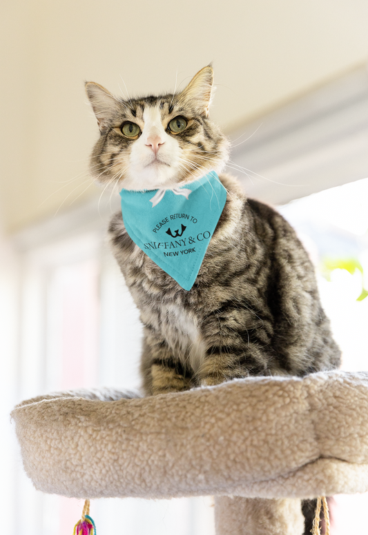 SNIFFANY FOR CATS