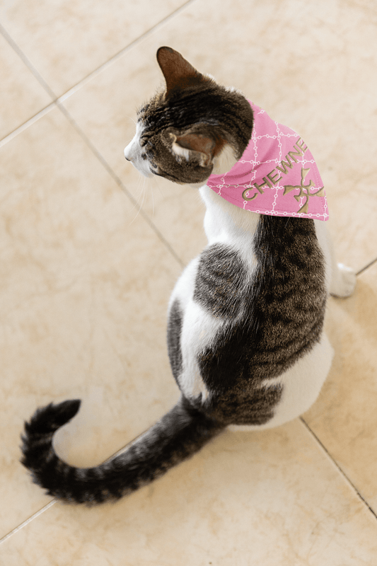 CHEWNEL For Cats