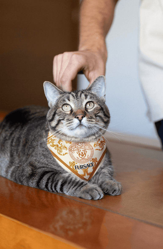 FURSACE For Cats