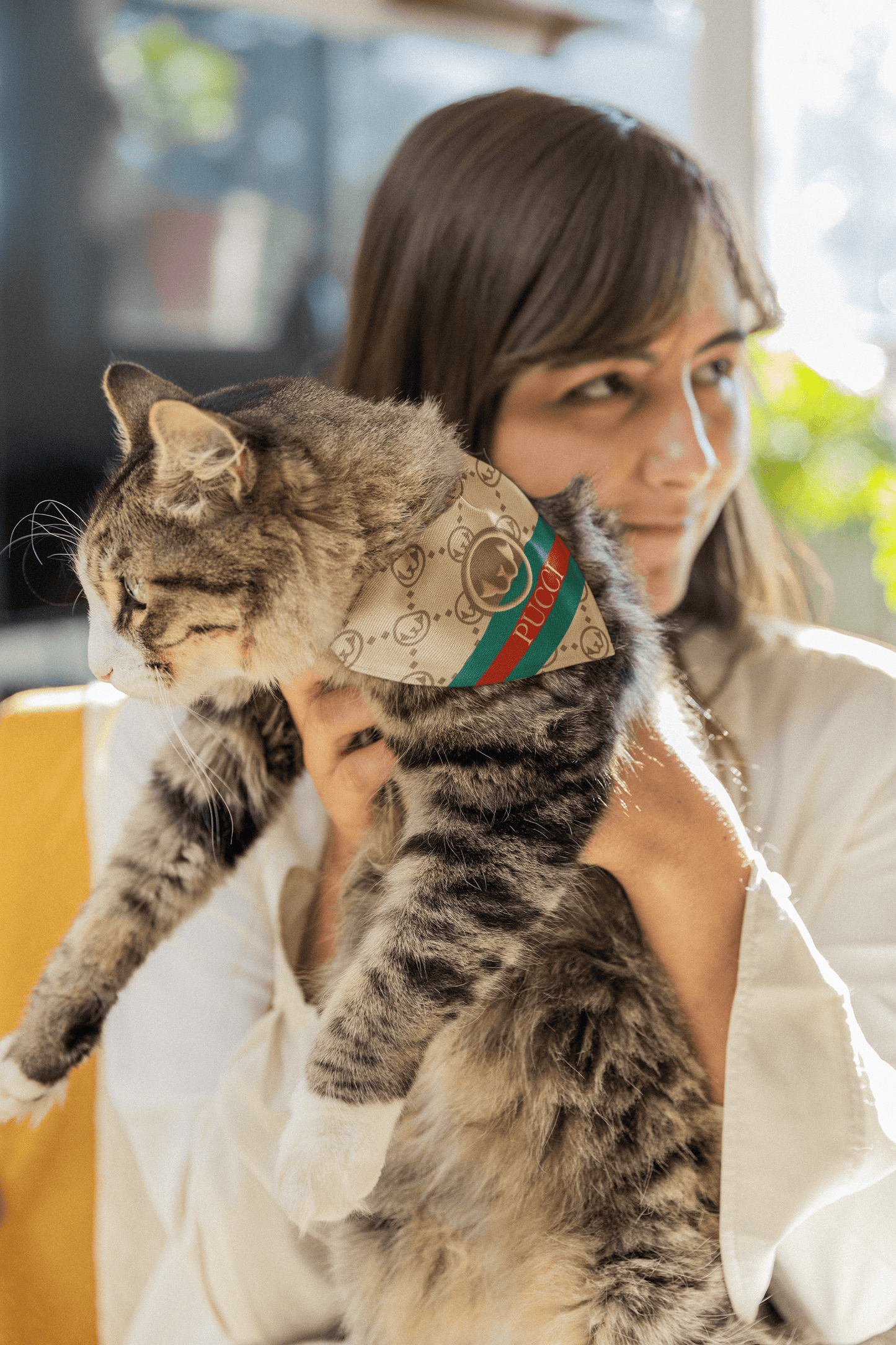 PUCCI For Cats