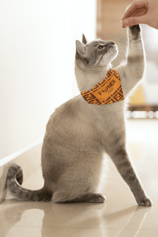 FUNDI For Cats